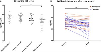 Ticagrelor Improves Endothelial Function by Decreasing Circulating Epidermal Growth Factor (EGF)